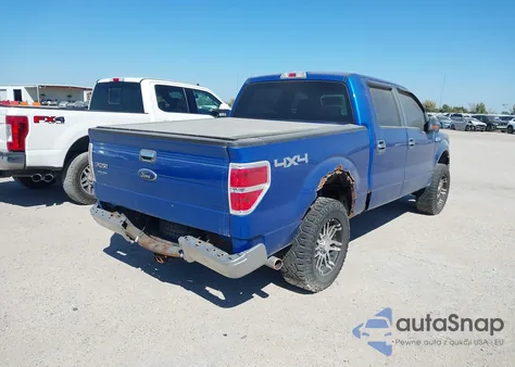 2009 Ford F-150 Fx4/King Ranch/Lariat/Platinum/Xl/Xlt z USA, uszkodzony, nr VIN 1FTPW14V49FB13310